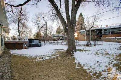 a tree in a yard with snow on the ground at Work and Play Near Old Town Arvada Pets Welcome! in Arvada