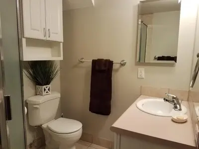 a bathroom with a toilet and a sink at Renovated 2BR flat near Red Rocks-Rocky Mt-DT-15min in Golden