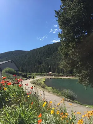 a body of water with a bunch of flowers at Decatur 1805 by SummitCove Lodging in Keystone