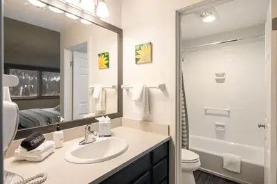 a bathroom with a sink and a toilet and a mirror at Lakefront Keystone Escape - Near Slopes & Trails in Keystone