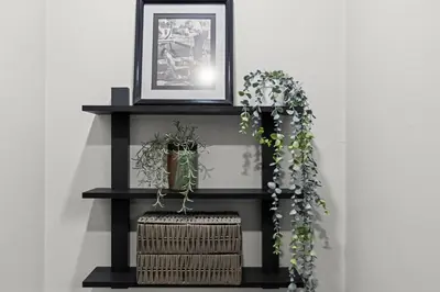 a black shelf with a picture and plants on it at Heart of Downtown City Views Deck BBQ in Denver