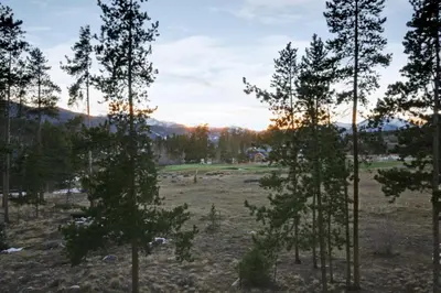 a group of trees in a field with the sunset at Flying Dutchman 1201 by SummitCove Lodging in Keystone