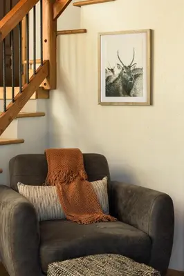 a couch in a living room with a picture of a stag at Skyline Lodge with Private Sauna & Hot Tub in Idaho Springs