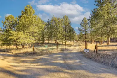 a dirt road in a field with trees and a fence at Pet-Friendly Pine Home Near Hiking and Fishing! in Pine