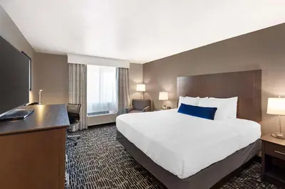 a hotel room with a large bed and a desk at Best Western Greeley in Greeley