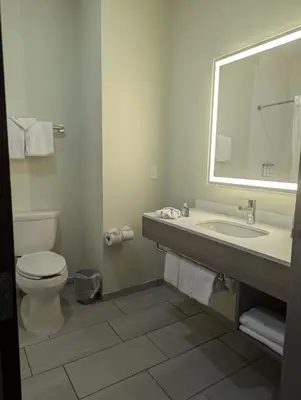 a bathroom with a toilet and a sink and a mirror at Holiday Inn Express Hotel & Suites Loveland by IHG in Loveland