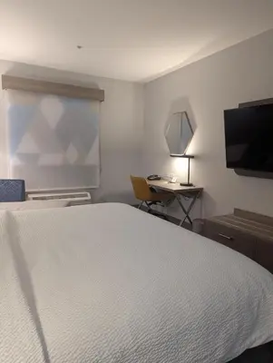 a bedroom with a bed and a television and a desk at Holiday Inn Express Hotel & Suites Loveland by IHG in Loveland