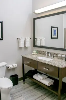 a bathroom with a sink and a toilet and a mirror at Holiday Inn & Suites Denver Tech Center-Centennial by IHG in Centennial