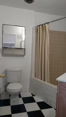 a bathroom with a toilet and a shower at Essex House Motel in Littleton