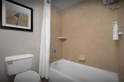 a bathroom with a white toilet and a shower at Hilton Garden Inn Denver Highlands Ranch in Highlands Ranch