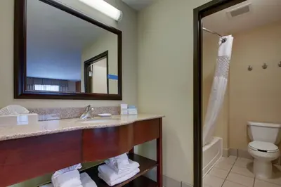 a bathroom with a sink and a toilet and a mirror at Hampton Inn & Suites Denver Littleton in Littleton
