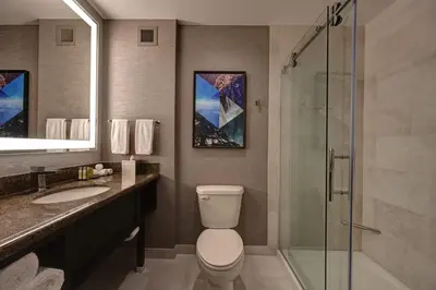 a bathroom with a toilet and a glass shower at DoubleTree by Hilton Denver International Airport, CO in Denver