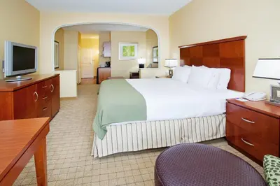 a hotel room with a large bed and a television at Holiday Inn Express & Suites Denver Airport by IHG in Denver