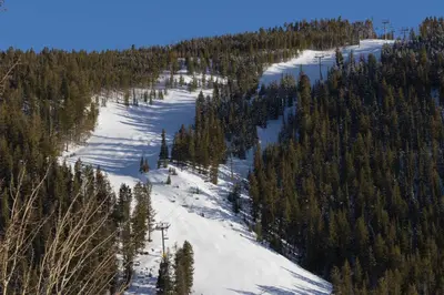 a snow covered mountain with trees and a ski lift at Hidden River Lodge 5975 in Keystone