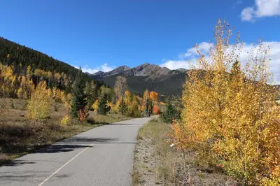 an empty road with trees and mountains in the background at Condo Right On Main Street By Daniel in Frisco