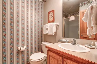 a bathroom with a toilet and a sink and a mirror at Village Townhome: Views, Location in Frisco