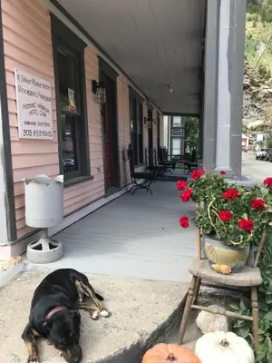 a dog laying on the porch of a building at Historic Windsor in Silver Plume