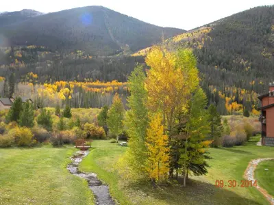 a park with a bench and a tree in a field at 241C Mountain Side Condo in Frisco