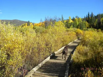 a dog walking on a wooden path in a field at 315 Woodbridge Condo in Frisco