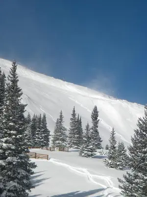 a snow covered slope with trees and a mountain at 522 Watch Hill Condo in Silverthorne