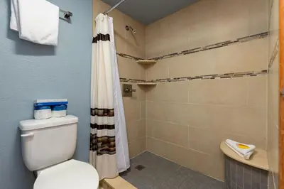 a bathroom with a toilet and a shower at 1610 Quicksilver Condo in Keystone