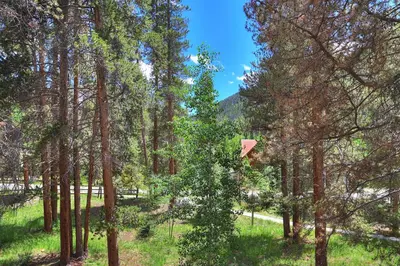 a tree with a basketball hoop in the middle of a forest at 1125 Flying Dutchman Condo in Keystone