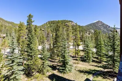 a forest of trees with mountains in the background at 8858 The Springs Condo in Keystone