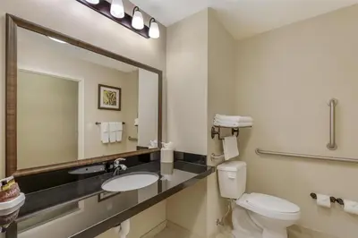 a bathroom with a sink and a toilet and a mirror at Best Western Plus Hudson Hotel & Suites in Hudson