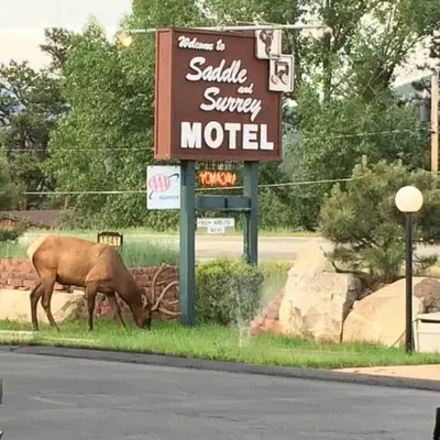 Saddle & Surrey Motel