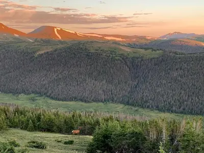 a horse grazing in a field with mountains in the background at Sky View in the Rockies in Estes Park