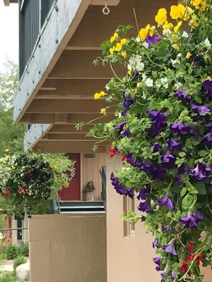 a bunch of flowers hanging off the side of a house at Hideaway Mountain Lodge in Fraser