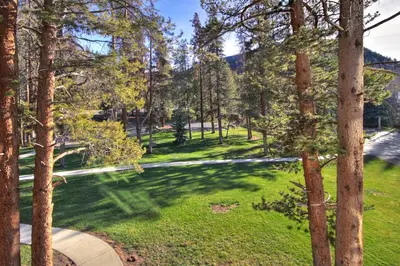an aerial view of a park with trees at 1926 Soda Springs Ii Townhouse in Keystone