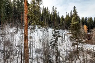a field with snow and trees in a forest at Lone Eagle 3008 in Keystone
