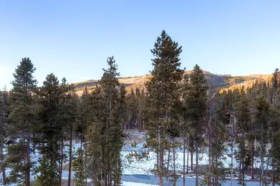 a group of trees in a snow covered forest at Red Hawk 2291 in Keystone