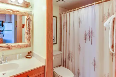a bathroom with a toilet and a shower curtain at Iron Horse Studio in Winter Park