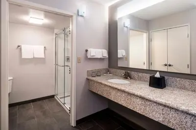 a bathroom with a sink and a mirror and a shower at Courtyard by Marriott Denver Southwest Lakewood in Lakewood