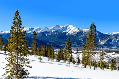 a group of trees in the snow with mountains in the background at River Bank Lodge 2924 in Keystone