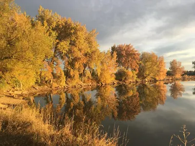 a river with trees reflecting in the water at Boulder Twin Lakes Inn in Boulder