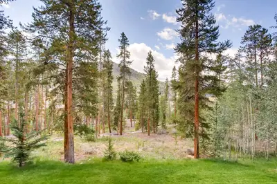 a forest with tall trees and green grass at Sts, Johns 2507 in Keystone