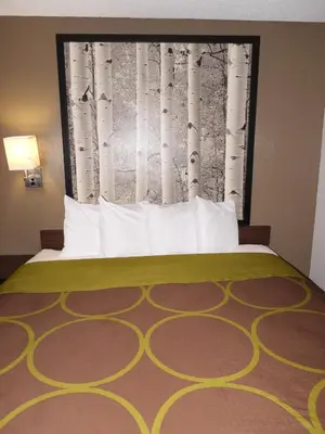 a bed in a hotel room with a window with aspen trees at Super 8 by Wyndham Westminster Denver North in Westminster