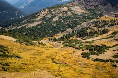 an aerial view of a mountain valley with trees at Stutzhaven In The Mountains Home in Estes Park