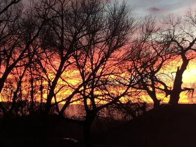 a sunset with trees in the foreground at DIA BnB - We love workers in Brighton