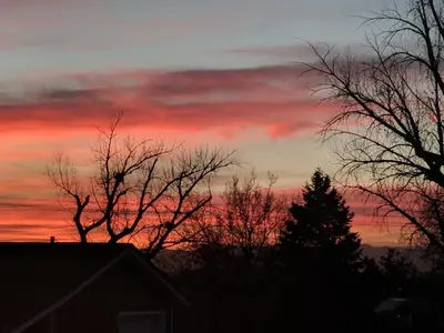 a sunset with trees in front of a house at DIA BnB - We love workers in Brighton