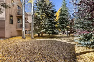 a house with trees and leaves on the ground at Mountainside 523 Home in Frisco
