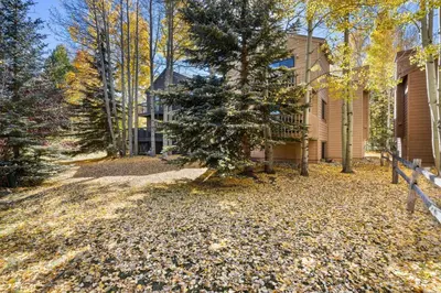 a house with a tree in the yard at Mountainside 523 Home in Frisco