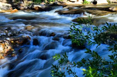 a stream of water with rocks and trees at Stonebrook Resort - Adult Only in Estes Park