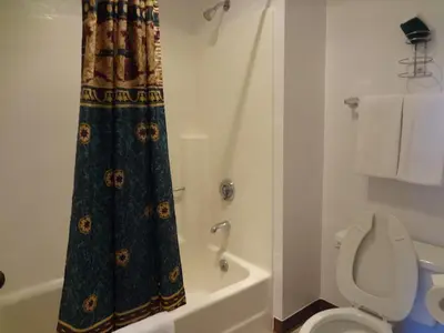 a bathroom with a shower curtain next to a toilet at Littletree Inn in Granby