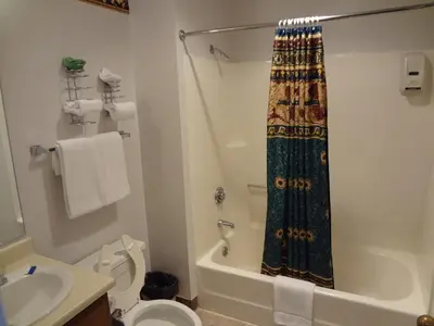 a bathroom with a shower and a toilet and a sink at Littletree Inn in Granby