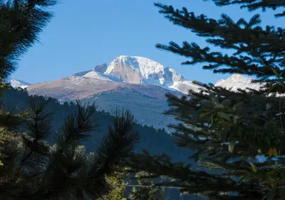 a mountain in the distance with trees in the foreground at Rams Horn Village Resort in Estes Park