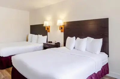 two beds in a hotel room with white sheets at Americas Best Value Inn & Suites Ft Collins E at I-25 in Fort Collins